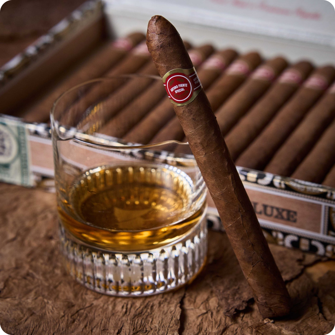 Arturo Fuente Curly Head Deluxe