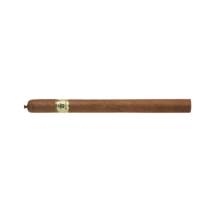 Trinidad Fundadores