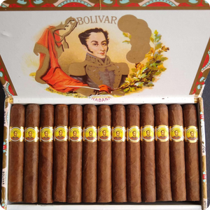 Bolivar Coronas Junior