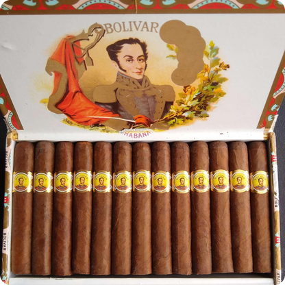 Bolivar Coronas Junior
