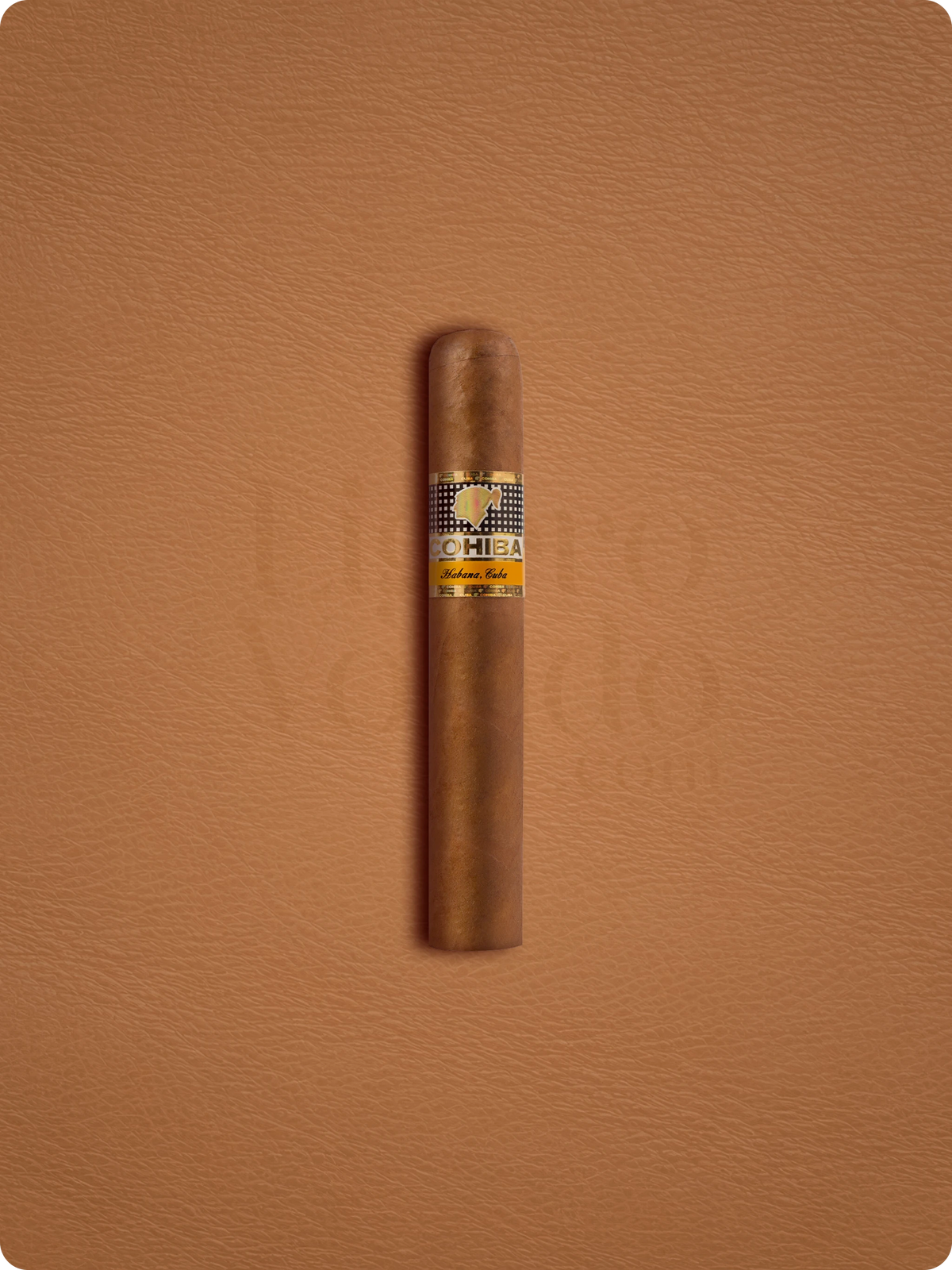 Cohiba Robusto