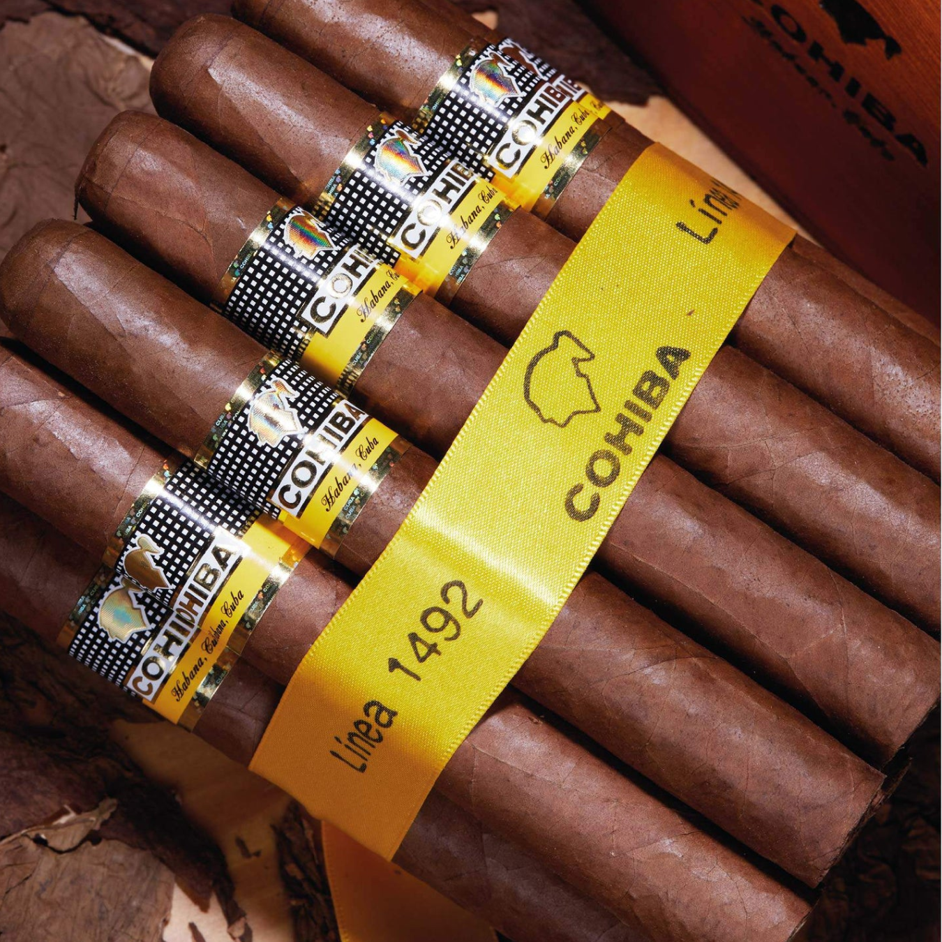 Cohiba Siglo VI