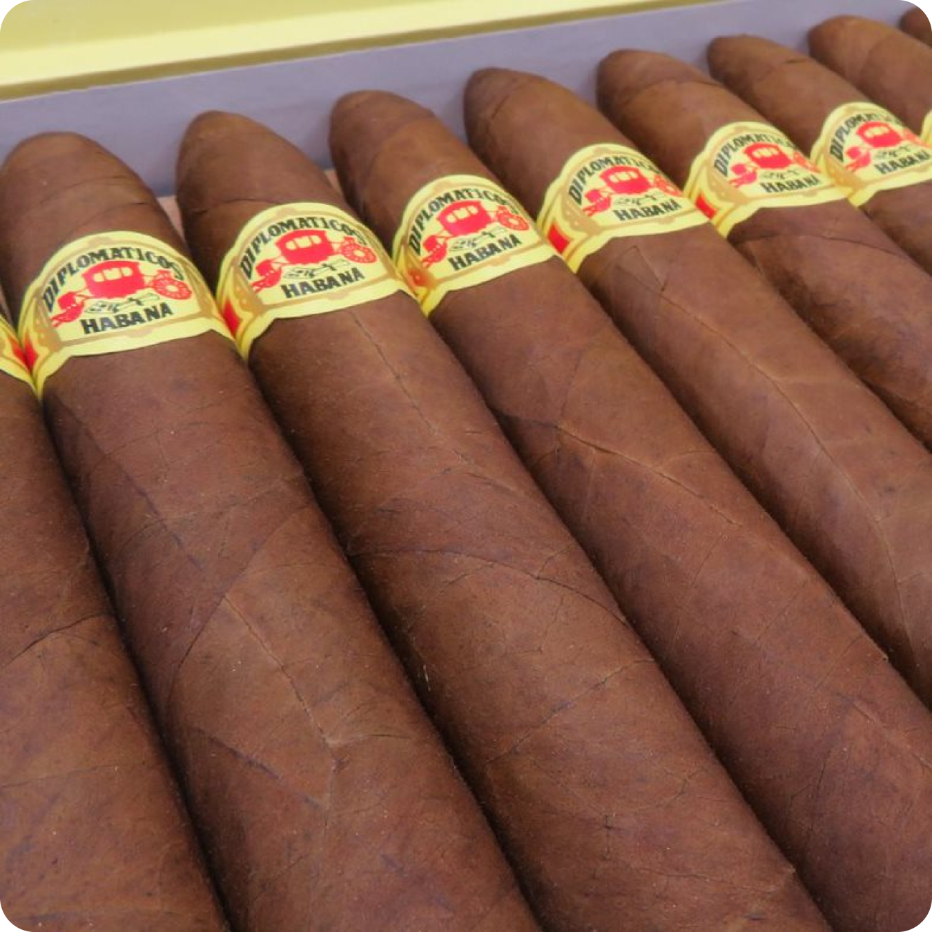 Diplomaticos No.2
