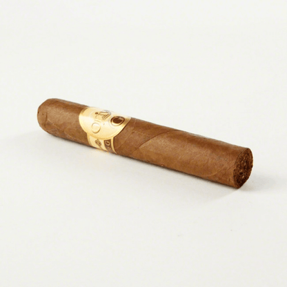 Oliva Serie G Double Robusto