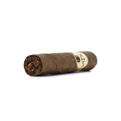 Oliva Serie G Double Robusto