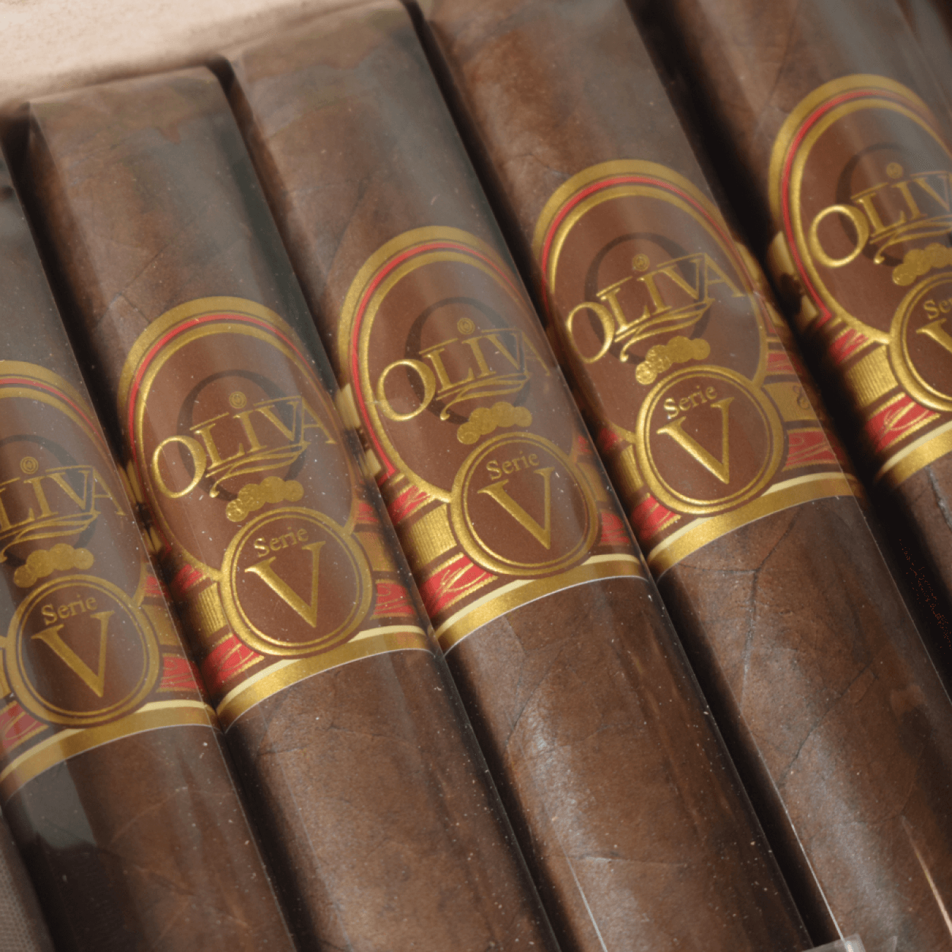 Oliva Serie V Double Robusto