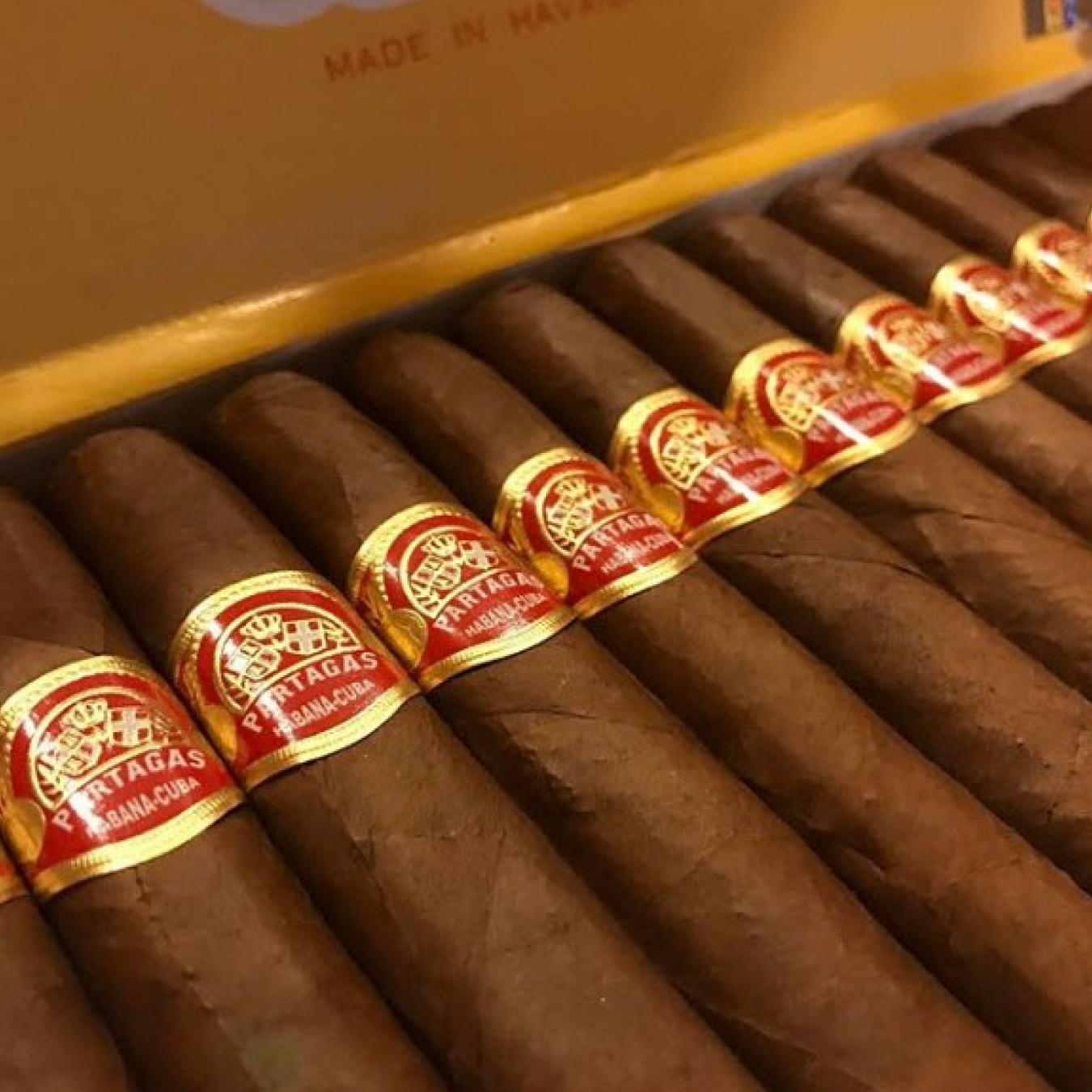 Partagas Mille Fleurs