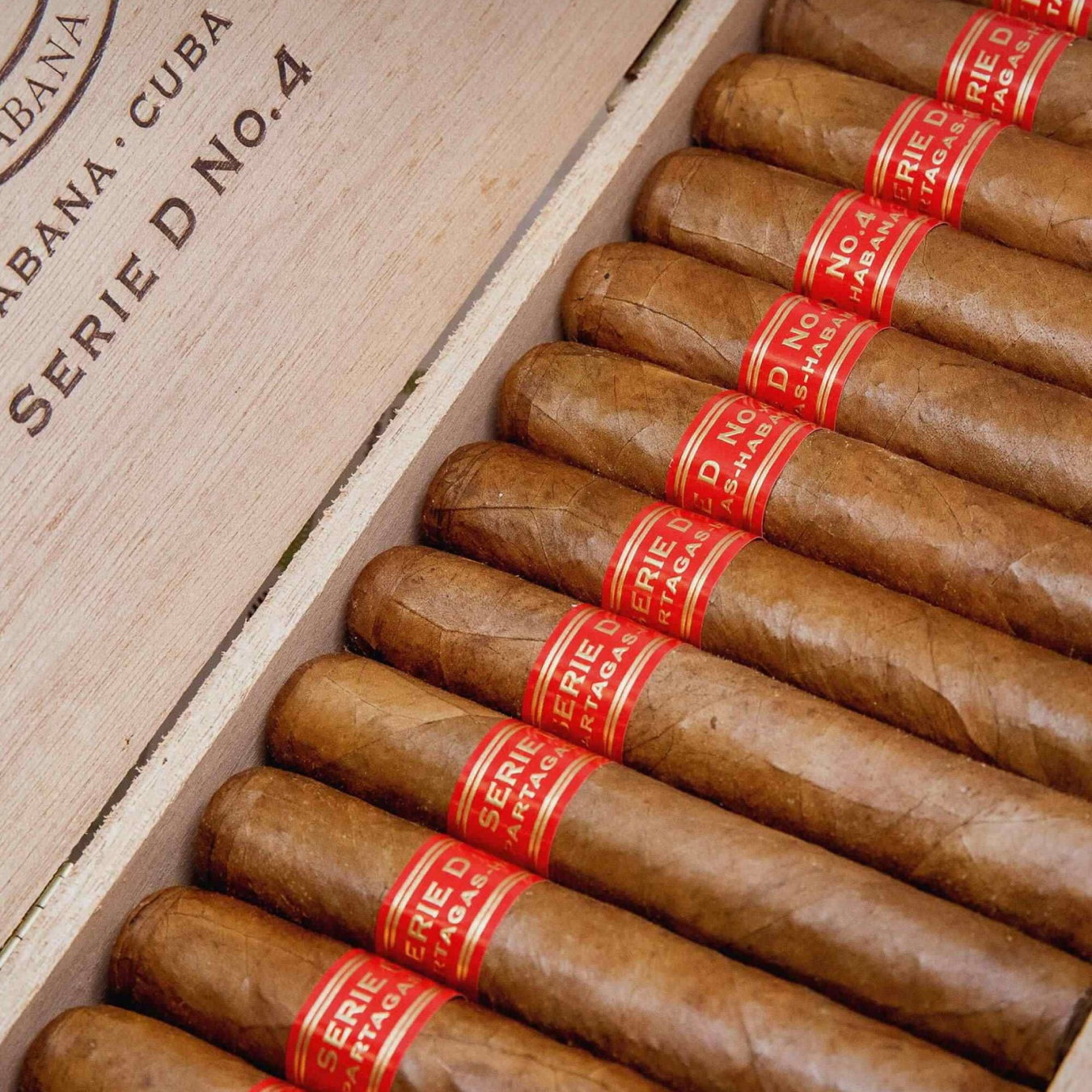 Partagas Serie D No.4