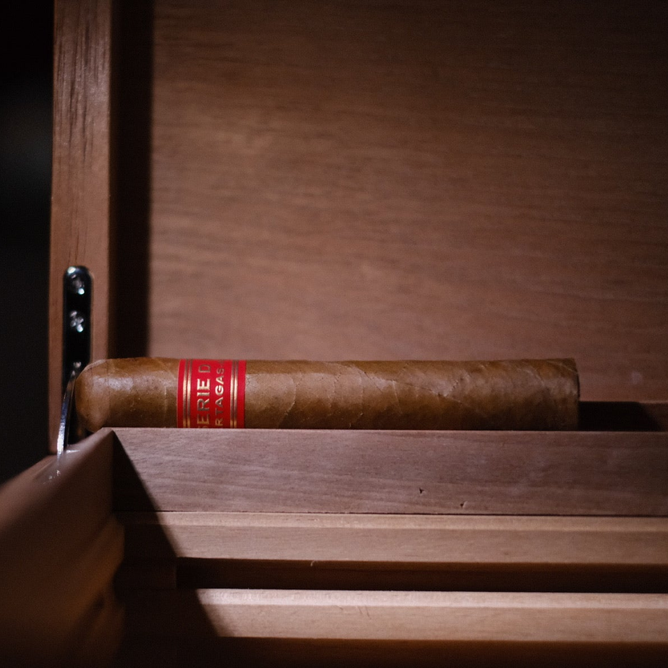 Partagas Serie D No.4