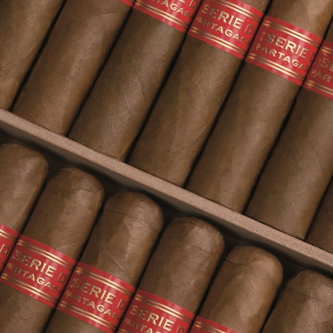 Partagas Serie D No.6