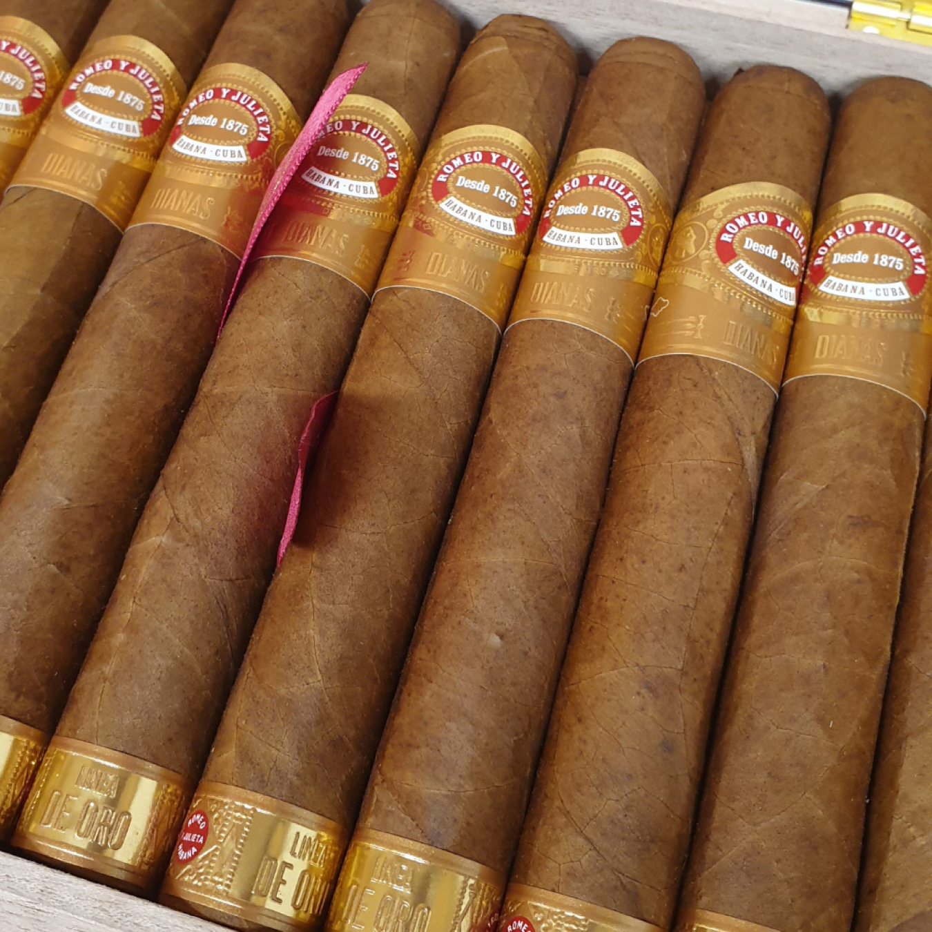 Romeo Y Julieta Linea Oro Dianas