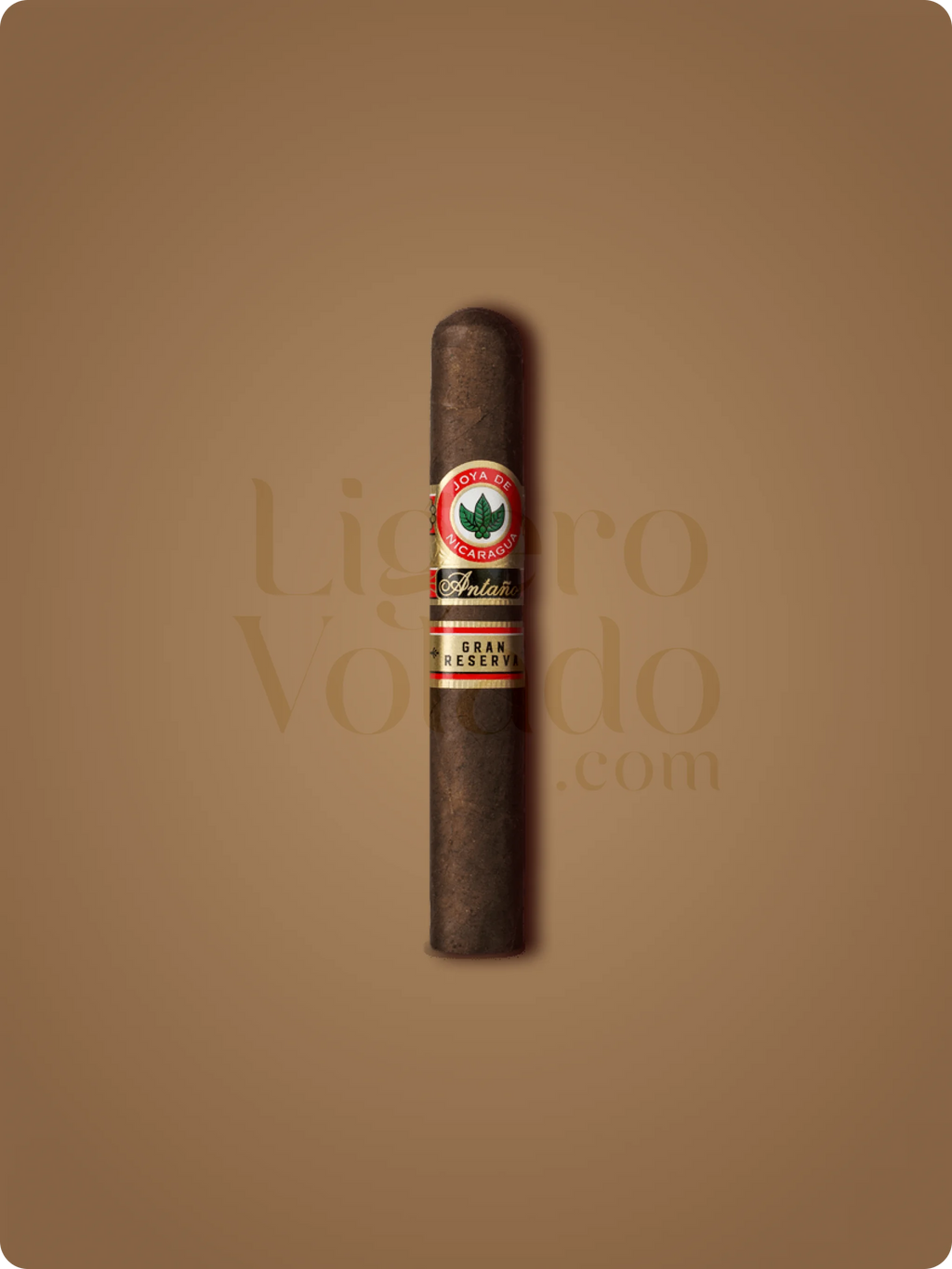 Charuto Joya De Nicaragua Antano Gran Reserva Robusto Grande