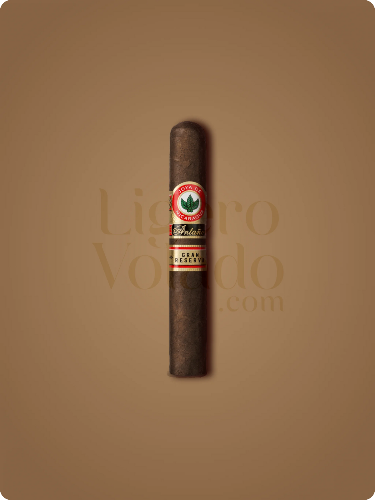 Charuto Joya De Nicaragua Antano Gran Reserva Robusto Grande