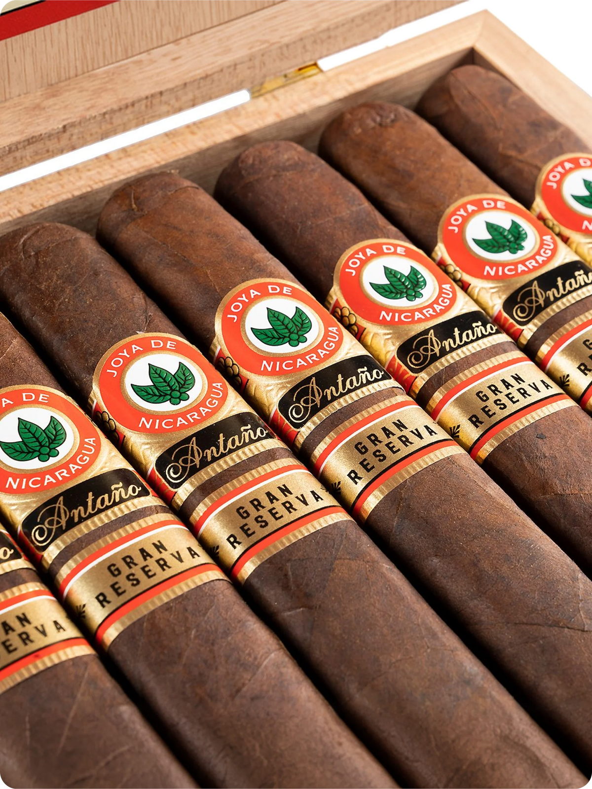 Charuto Joya De Nicaragua Antano Gran Reserva Robusto Grande