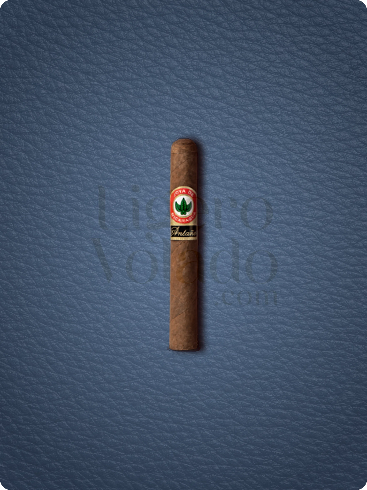 Charuto Joya De Nicaragua Antano Machito