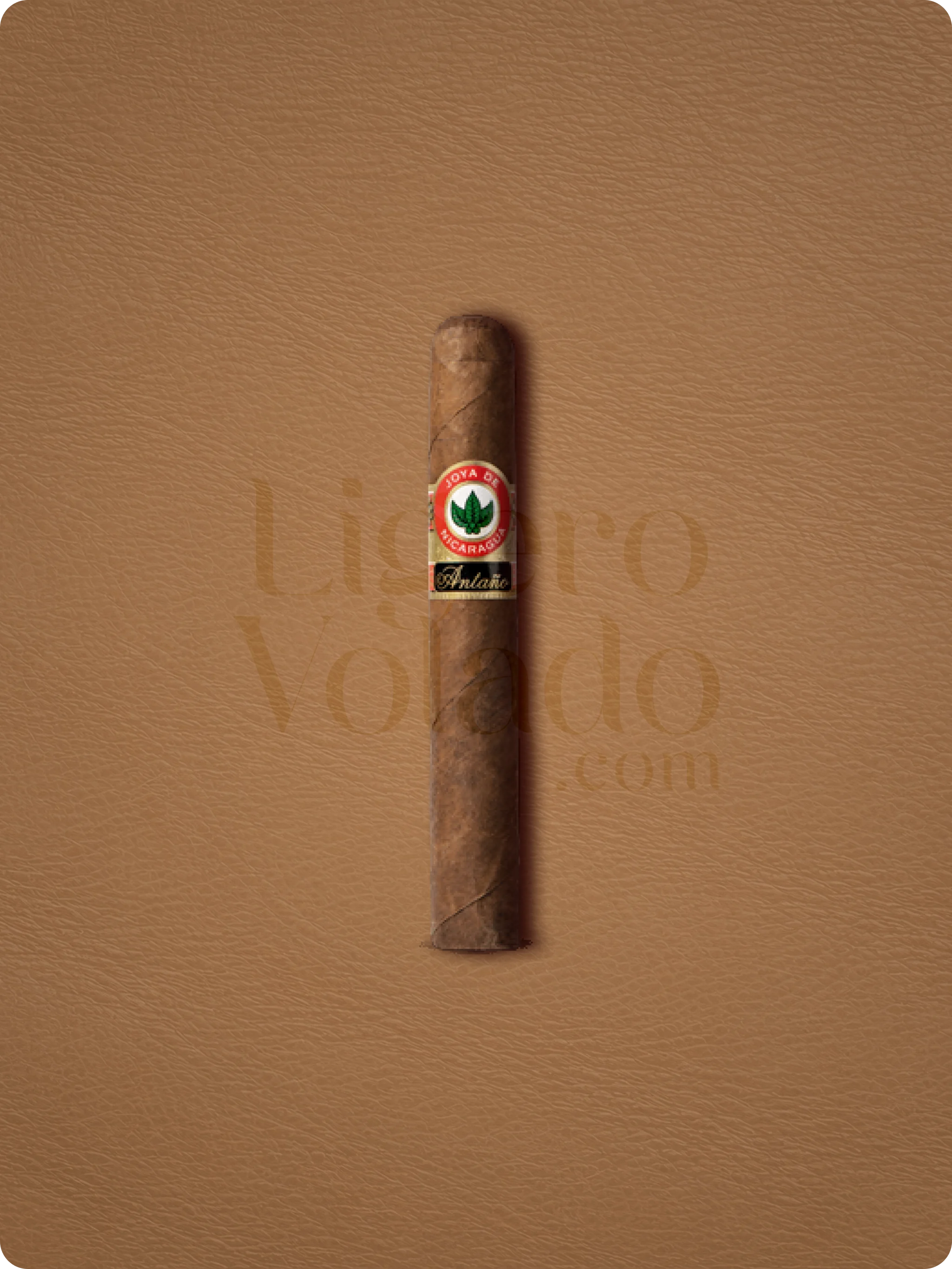 Charuto Joya De Nicaragua Antano Robusto Grande