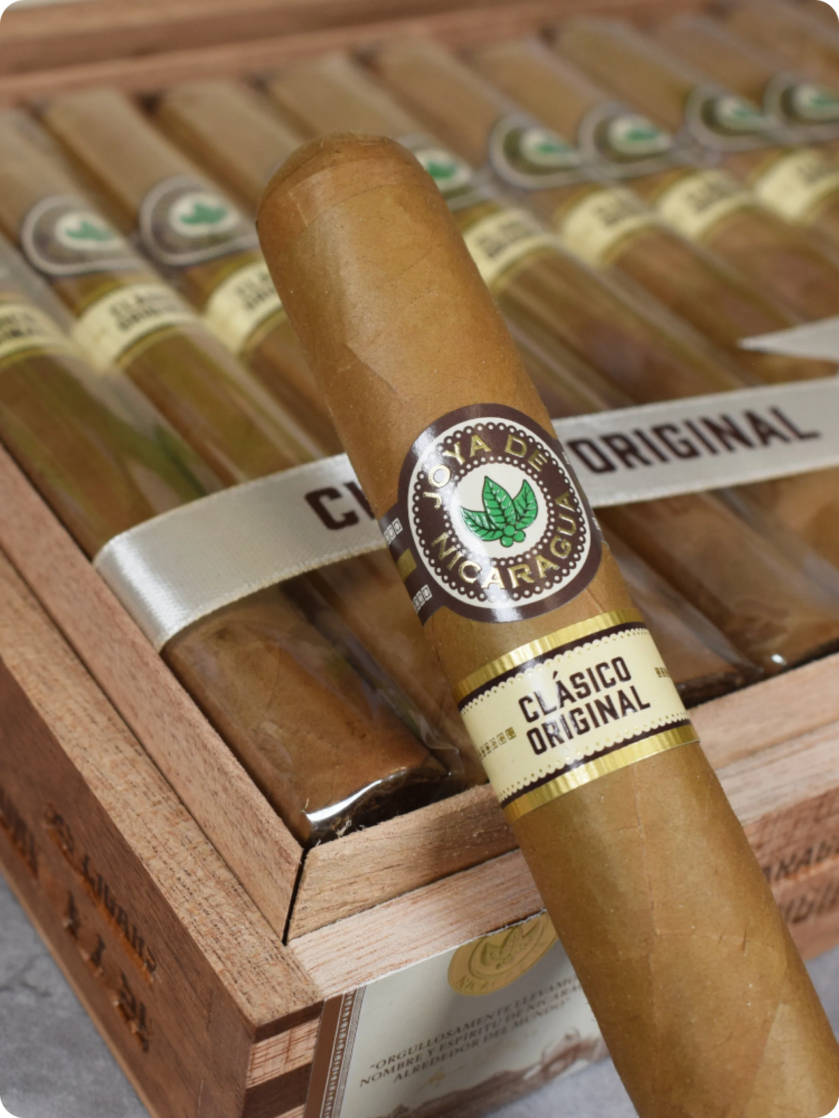 Charuto Joya De Nicaragua Clasico Toro